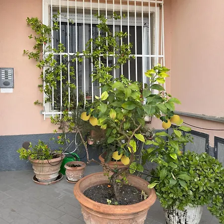 Blu Di - Zona Tranquilla Due Passi Dal Mare 아파트