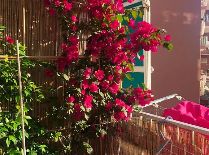 Lägenhet Blu Di - Zona Tranquilla Due Passi Dal Mare